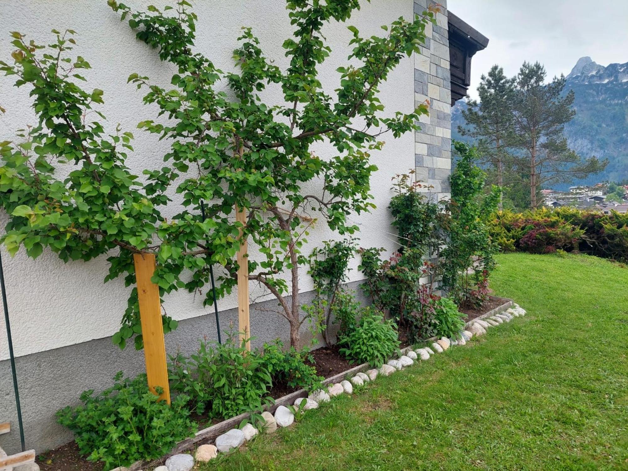 Privatzimmer Pendl Abtenau Exterior photo