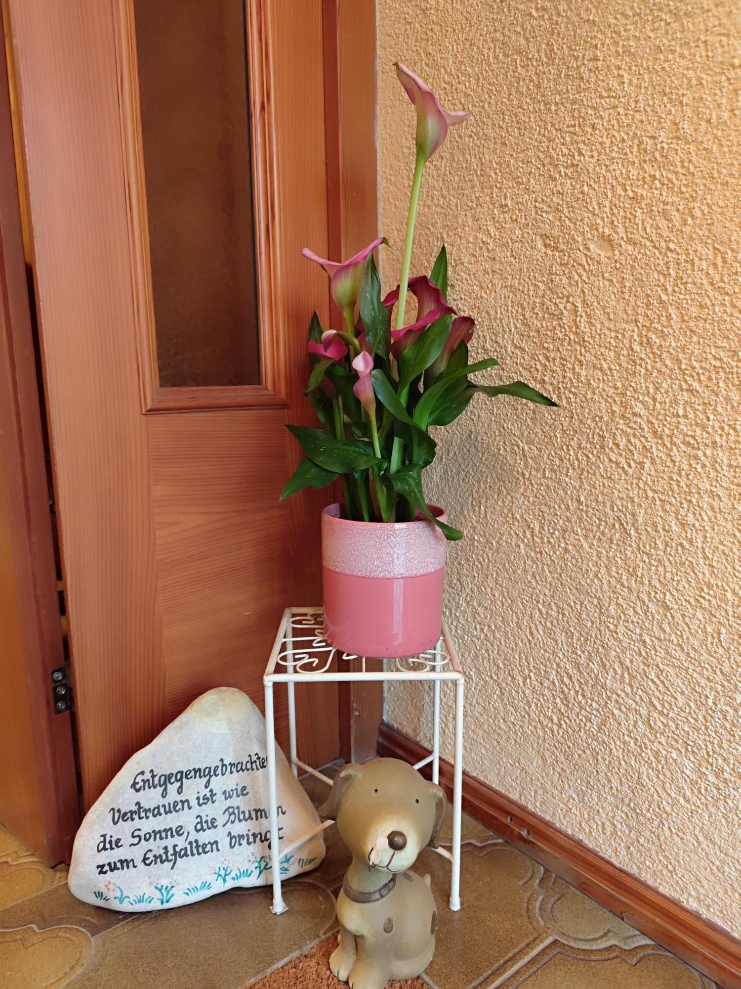 Privatzimmer Pendl Abtenau Exterior photo